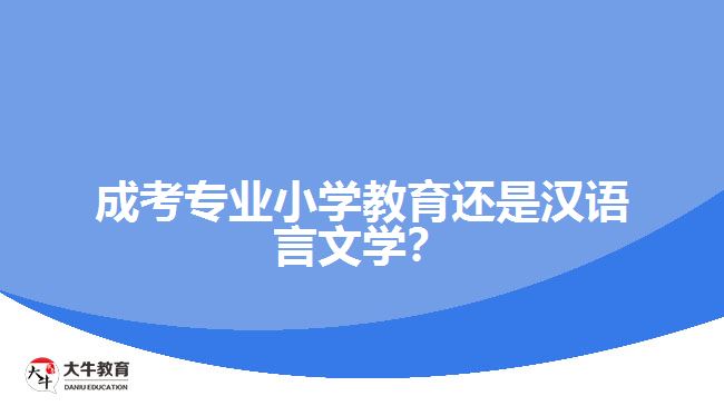 成考專業(yè)小學教育還是漢語言文學？