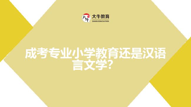 成考小學(xué)教育還是漢語(yǔ)言文學(xué)？