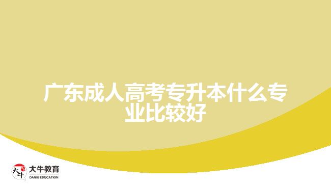 廣東成人高考專(zhuān)升本什么專(zhuān)業(yè)比較好