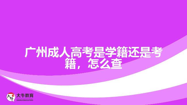 廣州成人高考是學(xué)籍還是考籍，怎么查