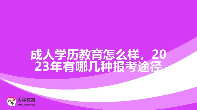 成人學歷教育怎么樣，2023年有哪幾種報考途徑