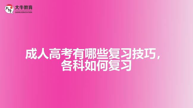 成考有哪些復(fù)習(xí)技巧，各科如何復(fù)習(xí)