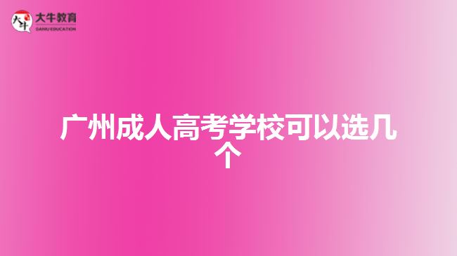 廣州成人高考學(xué)?？梢赃x幾個