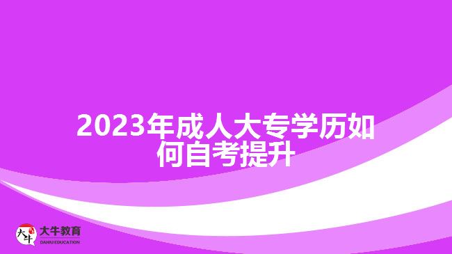 2023年成人大專(zhuān)學(xué)歷如何自考提升