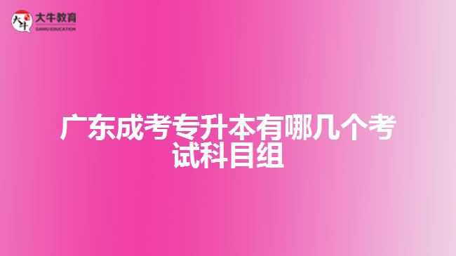 廣東成考專(zhuān)升本有哪幾個(gè)考試科目組