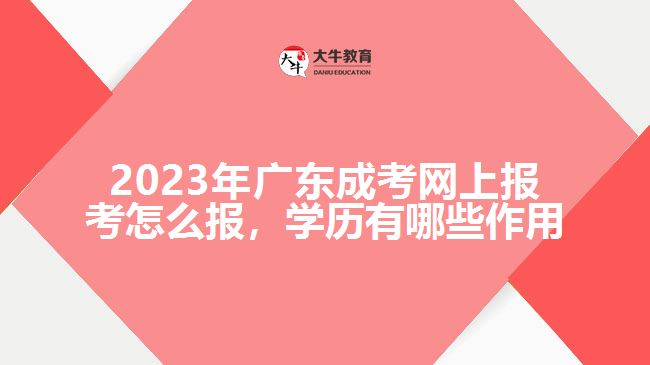 2023年廣東成考網(wǎng)上報(bào)考怎么報(bào)，學(xué)歷有哪些作用
