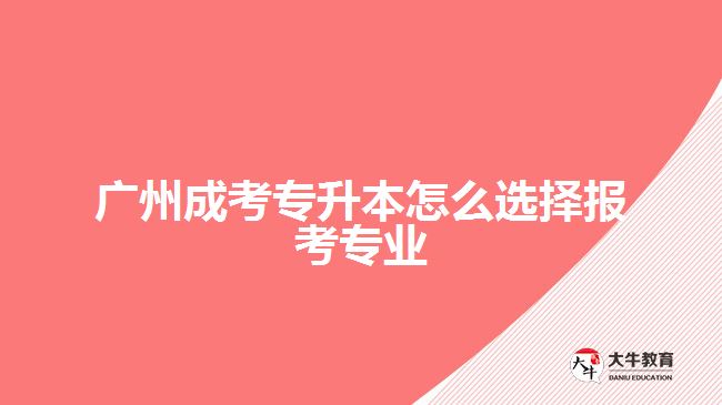 廣州成考專升本怎么選擇報(bào)考專業(yè)