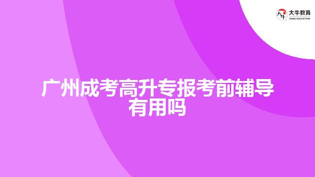 廣州成考高升專報考前輔導有用嗎