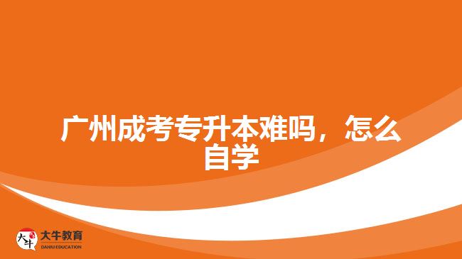 廣州成考專升本難嗎，怎么自學(xué)