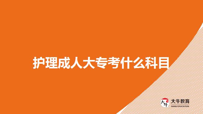 護理成人大?？际裁纯颇? width='170' height='105'/></a></dt>
						<dd><a href=