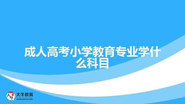成人高考小學(xué)教育專(zhuān)業(yè)學(xué)什么科目