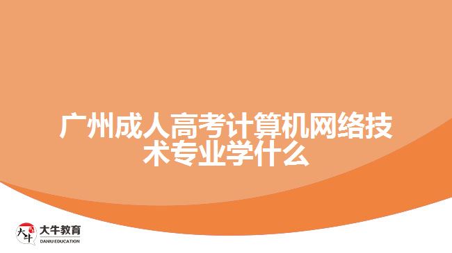 廣州成人高考計(jì)算機(jī)網(wǎng)絡(luò)技術(shù)專(zhuān)業(yè)學(xué)什么