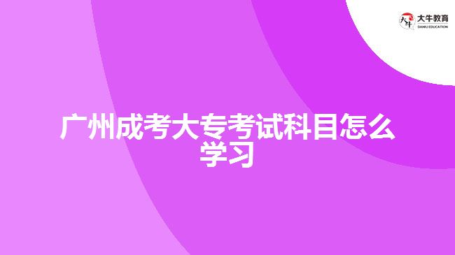 廣州成考大?？荚嚳颇吭趺磳W習