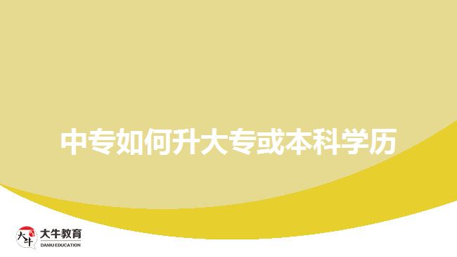 中專如何升大?；虮究茖W(xué)歷