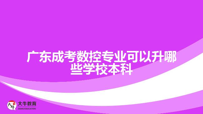 廣東成考數(shù)控專(zhuān)業(yè)可以升哪些學(xué)校本科