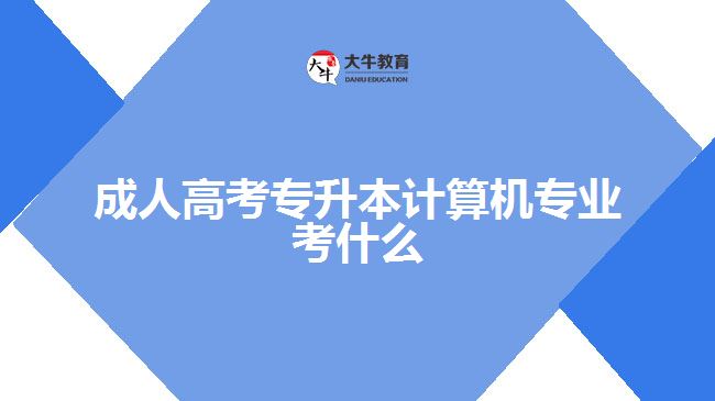 成人高考專升本計算機(jī)專業(yè)考什么