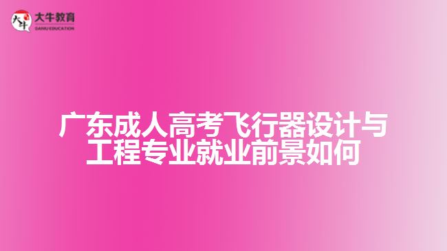 廣東成人高考飛行器設(shè)計(jì)與工程專(zhuān)業(yè)就業(yè)前景如何