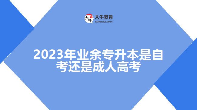2023年業(yè)余專(zhuān)升本是自考還是成人高考