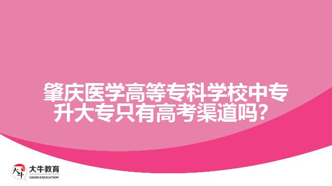 肇慶醫(yī)學(xué)高等?？茖W(xué)校中專升大專只有高考渠道嗎？