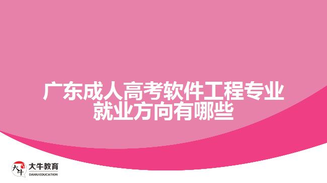 廣東成人高考軟件工程專(zhuān)業(yè)就業(yè)方向有哪些