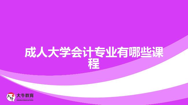 成人大學(xué)會(huì)計(jì)專(zhuān)業(yè)有哪些課程