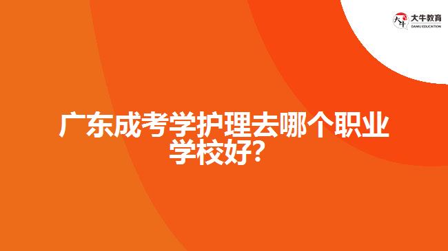 廣東成考學(xué)護(hù)理去哪個(gè)職業(yè)學(xué)校好？