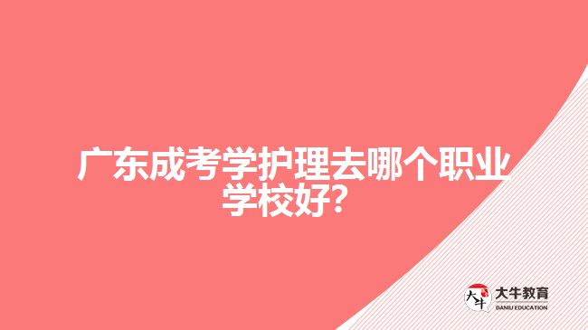 廣東成考學(xué)護(hù)理去哪個(gè)職業(yè)學(xué)校好？