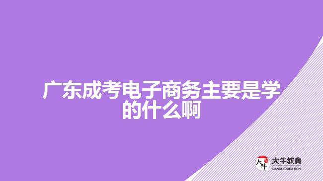 廣東成考電子商務主要是學的什么啊