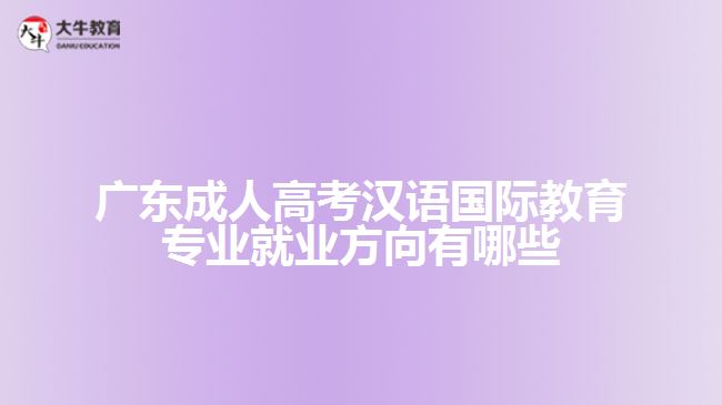 廣東成人高考漢語(yǔ)國(guó)際教育專業(yè)就業(yè)方向有哪些