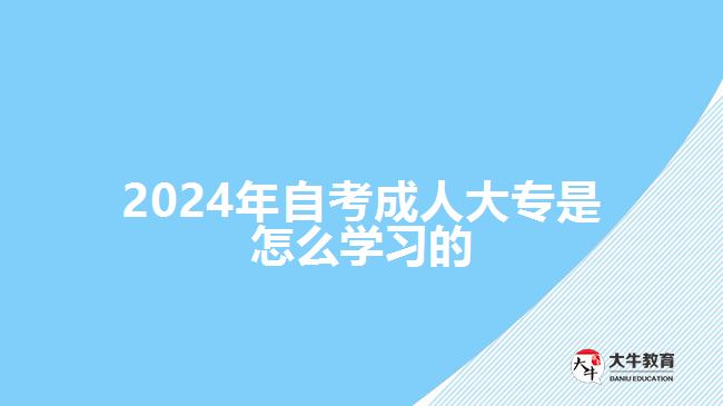 2024年自考成人大專是怎么學習的