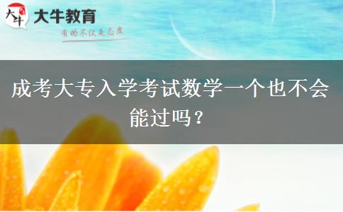 成考大專入學(xué)考試數(shù)學(xué)一個(gè)也不會(huì)能過嗎？