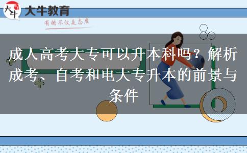 成人高考大?？梢陨究茊?？解析成考、自考和電大專升本的前景與條件