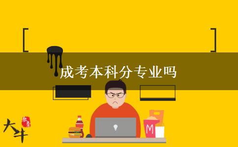 成考本科分專(zhuān)業(yè)嗎