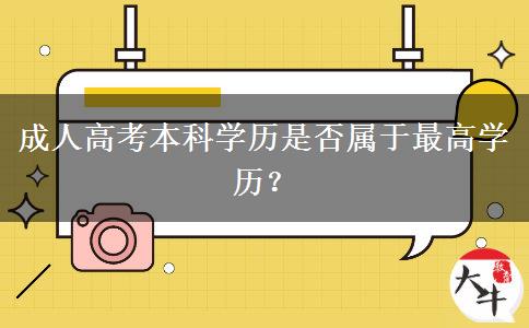 成人高考本科學(xué)歷是否屬于最高學(xué)歷？