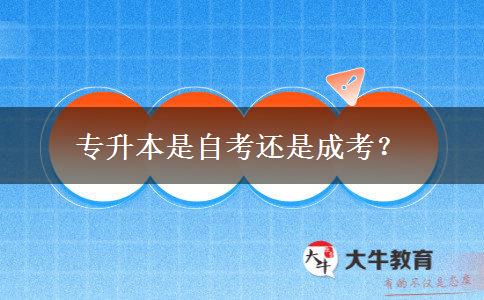 專升本是自考還是成考？