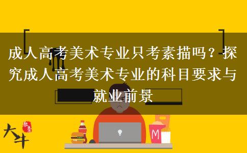 成人高考美術專業(yè)只考素描嗎？