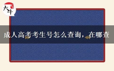 成人高考考生號(hào)怎么查詢，在哪查