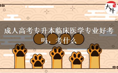 成人高考專升本臨床醫(yī)學(xué)專業(yè)好考嗎，考什么