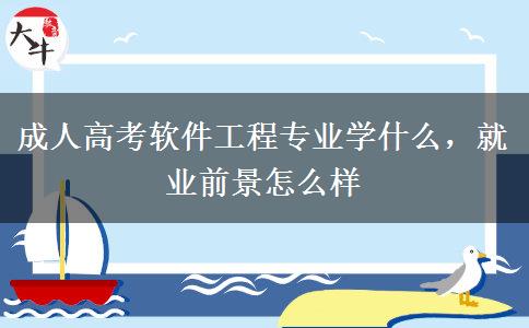 成人高考軟件工程專業(yè)學(xué)什么，就業(yè)前景怎么樣
