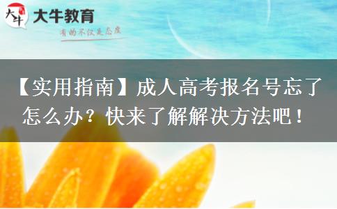 成人高考報名號忘了怎么辦？