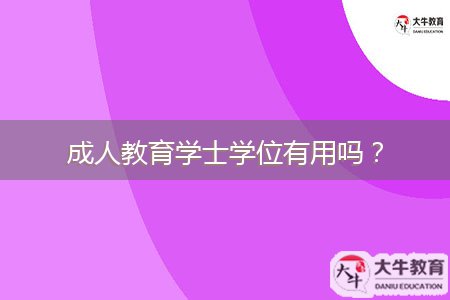 成人教育學(xué)士學(xué)位有用嗎？