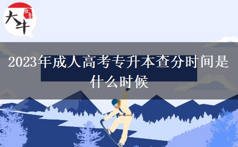 2023年成人高考專(zhuān)升本查分時(shí)間是什么時(shí)候