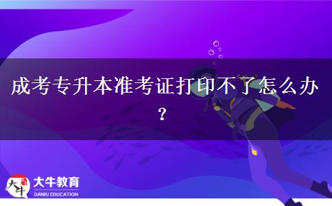 成考專升本準(zhǔn)考證打印不了怎么辦？