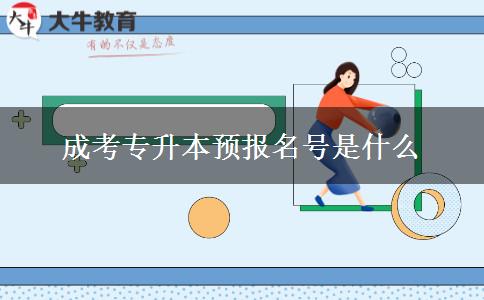 成考專(zhuān)升本預(yù)報(bào)名號(hào)是什么