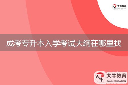 成考專升本入學考試大綱在哪里找