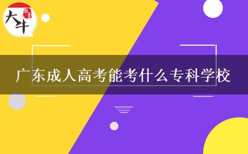 廣東成人高考能考什么專科學校
