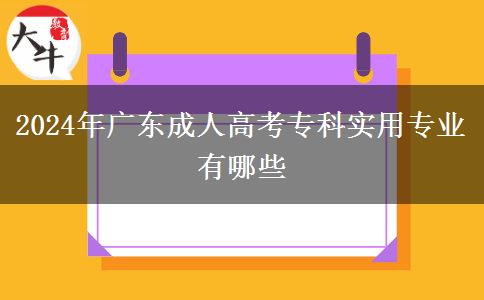 2024年廣東成人高考?？茖?shí)用專業(yè)有哪些