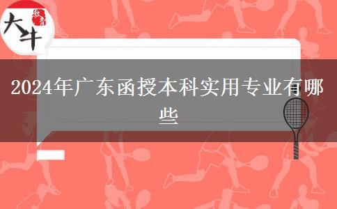 2024年廣東函授本科實(shí)用專業(yè)有哪些