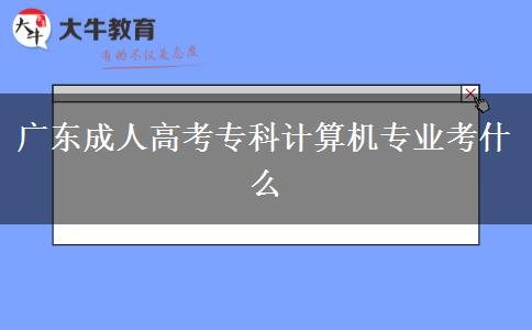 廣東成人高考專科計算機專業(yè)考什么