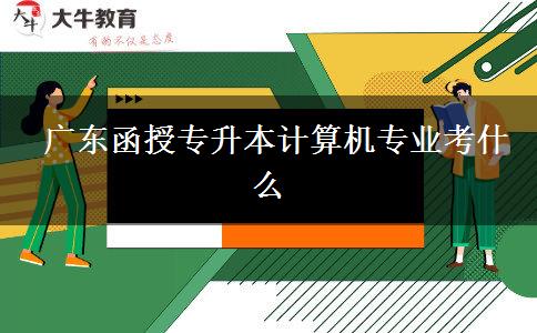 廣東函授專(zhuān)升本計(jì)算機(jī)專(zhuān)業(yè)考什么